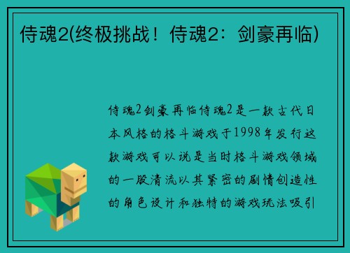 侍魂2(终极挑战！侍魂2：剑豪再临)